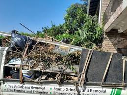Best Estate Cleanout  in Warrenton, MO